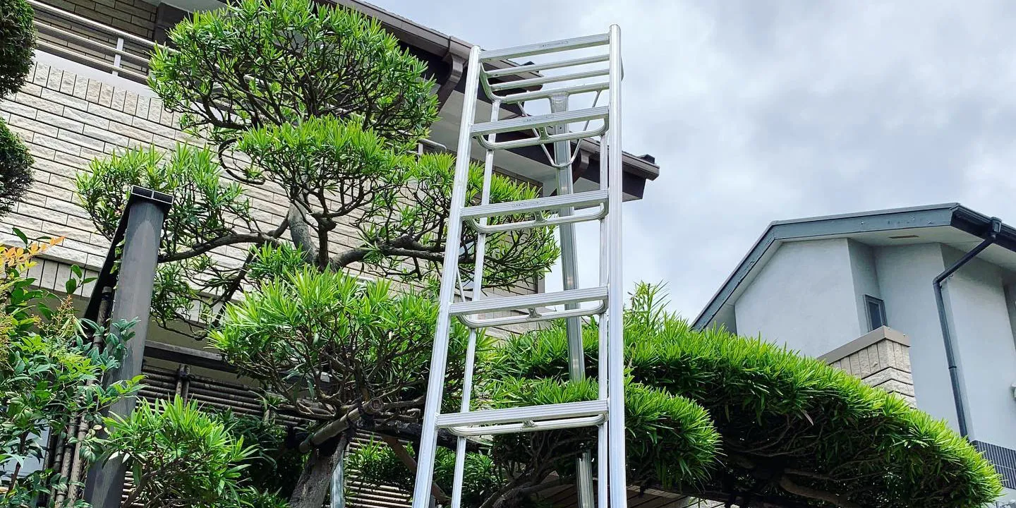 一級造園技能士による庭木の管理。剪定作業に使うアルミ三脚と、美しく整えられた住宅の瑞々しいイヌマキの植栽。