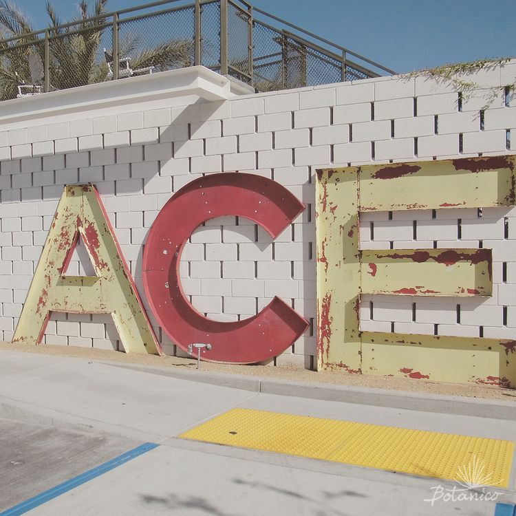 Off shots! / 3. ACE HOTEL & SWIM CLUB Palm Springs