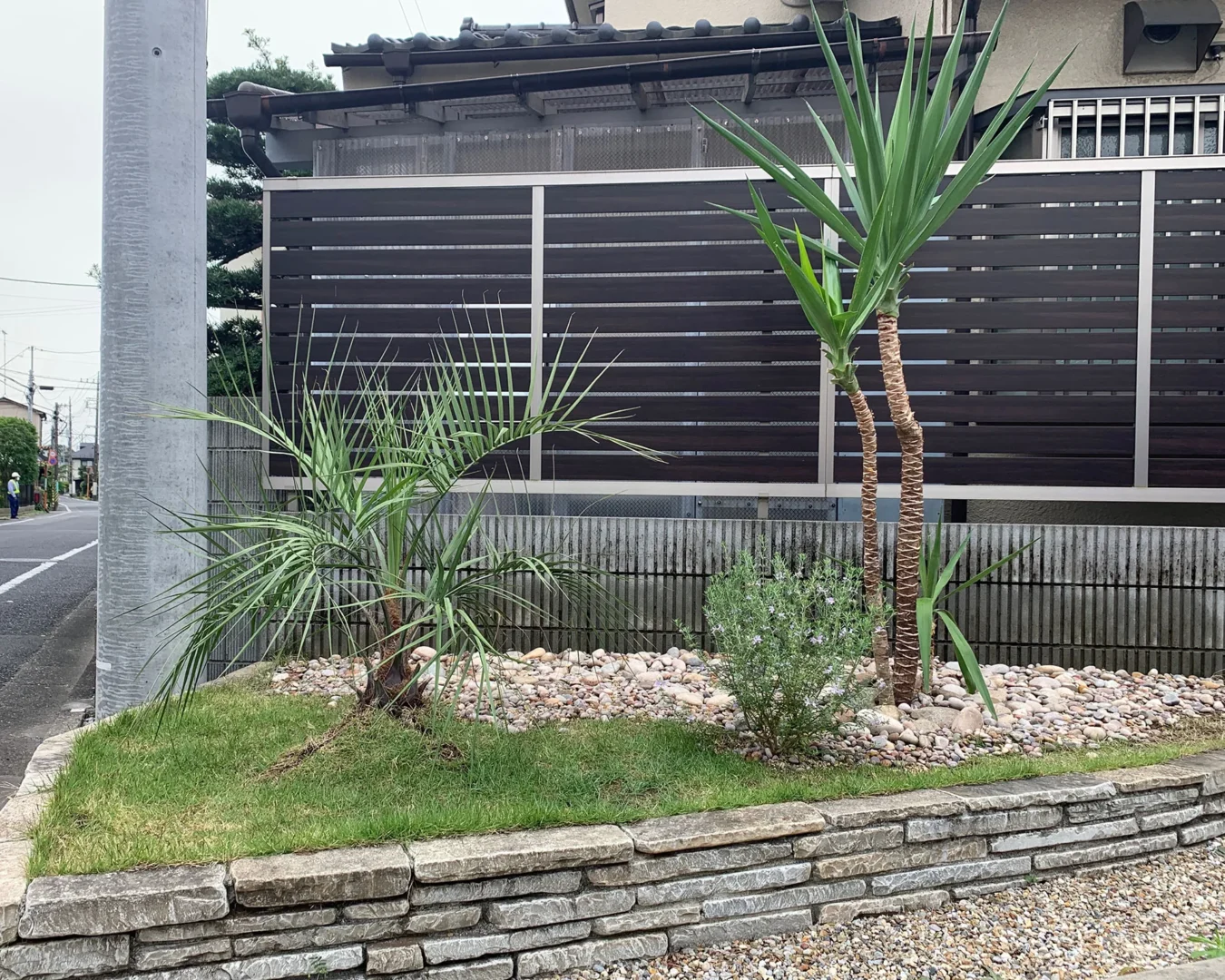 石積みの花壇のなかに美しくレイアウトされた、南国風のヤシや多肉植物、ハーブが彩るコンパクトなドライガーデン。