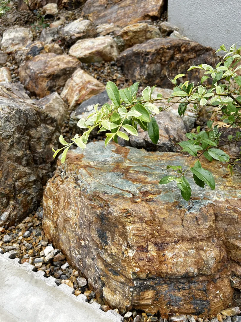 新築（住友林業の家）植栽｜町田市
