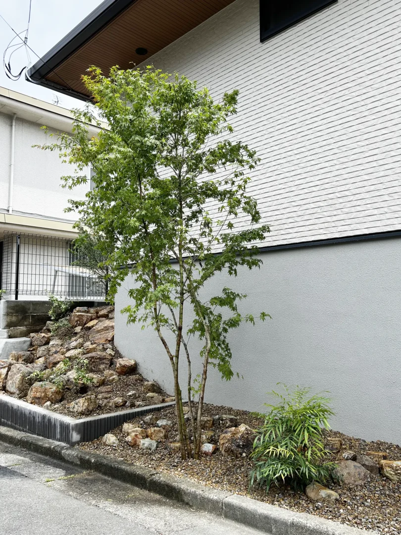 新築（住友林業の家）植栽｜町田市